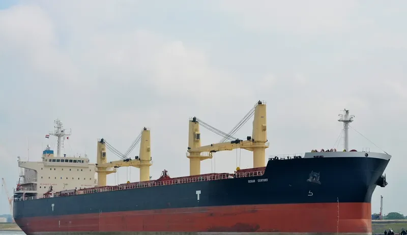 OCEAN CENTURY Bulk Carrier IMO 9485033 photo 6