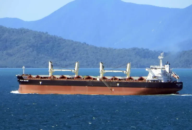 OCEAN DESTINY Bulk Carrier IMO 9485045