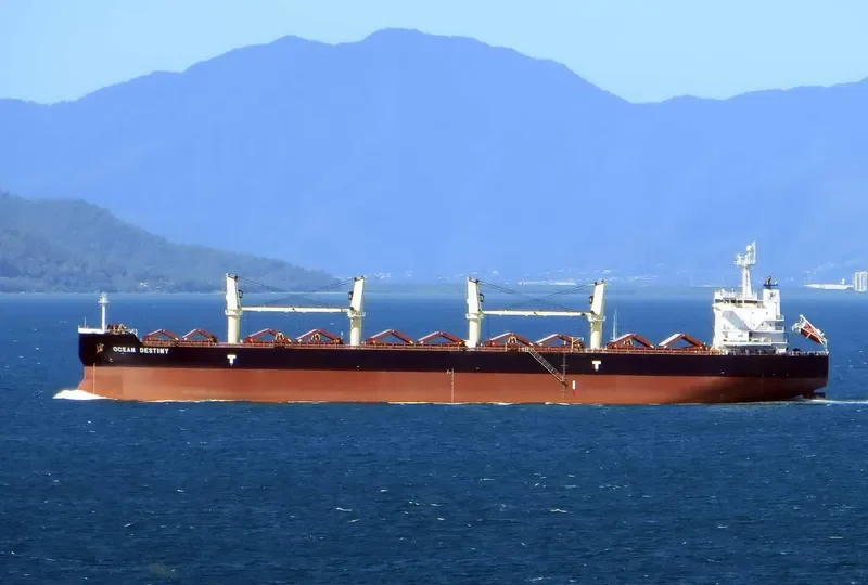 OCEAN DESTINY Bulk Carrier IMO 9485045 photo 2