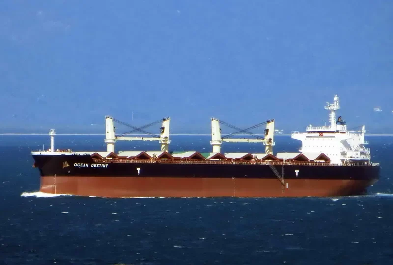 OCEAN DESTINY Bulk Carrier IMO 9485045 photo 3