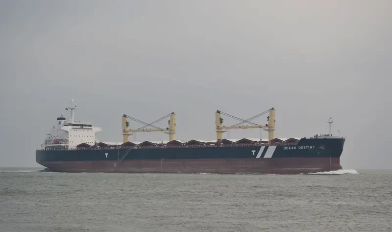 OCEAN DESTINY Bulk Carrier IMO 9485045 photo 4