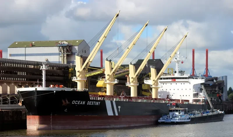 OCEAN DESTINY Bulk Carrier IMO 9485045 photo 5