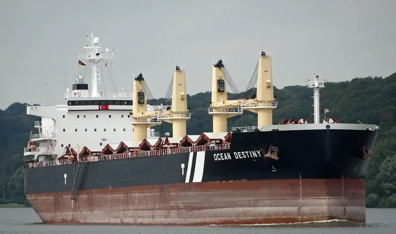 OCEAN DESTINY Bulk Carrier IMO 9485045 photo 6