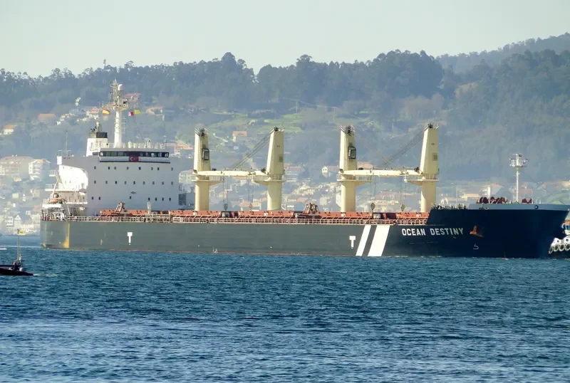 OCEAN DESTINY Bulk Carrier IMO 9485045 photo 8