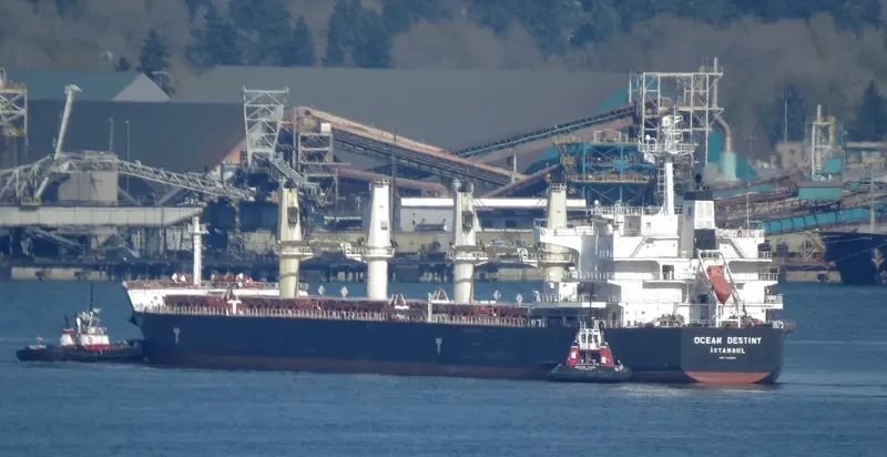 OCEAN DESTINY Bulk Carrier IMO 9485045 photo 9