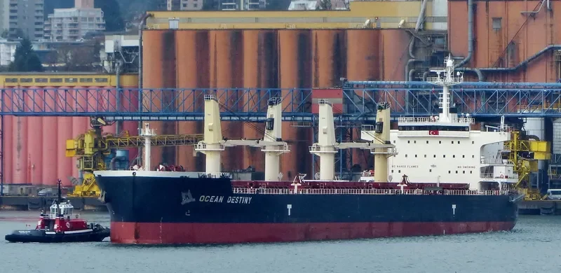 OCEAN DESTINY Bulk Carrier IMO 9485045 photo 10