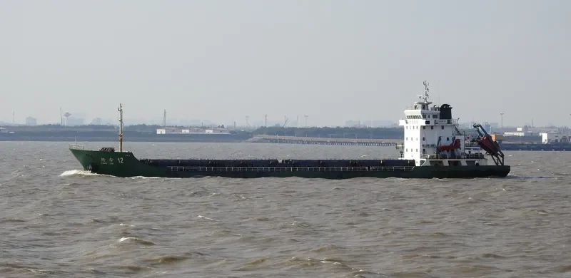 LONG XIN 12 General Cargo IMO 9485318 photo 2