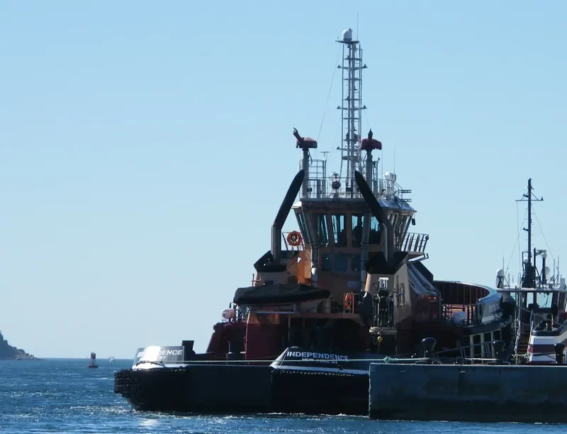 INDEPENDENCE General Cargo IMO 9485588 photo 6
