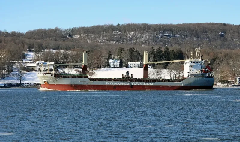 OSLO BULK 8 General Cargo IMO 9485813 photo 4
