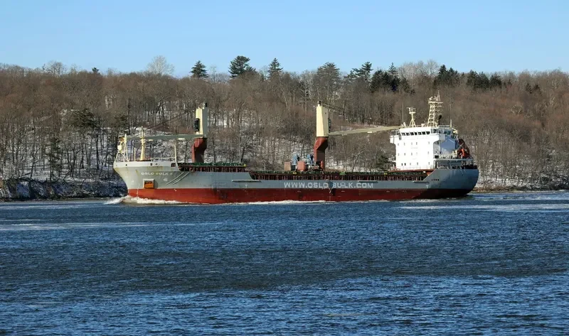 OSLO BULK 8 General Cargo IMO 9485813 photo 5