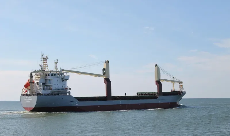 OSLO BULK 8 General Cargo IMO 9485813 photo 7