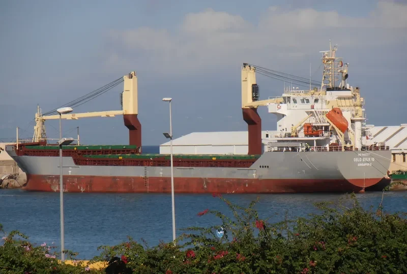 OSLO BULK 10 General Cargo IMO 9485837 photo 3