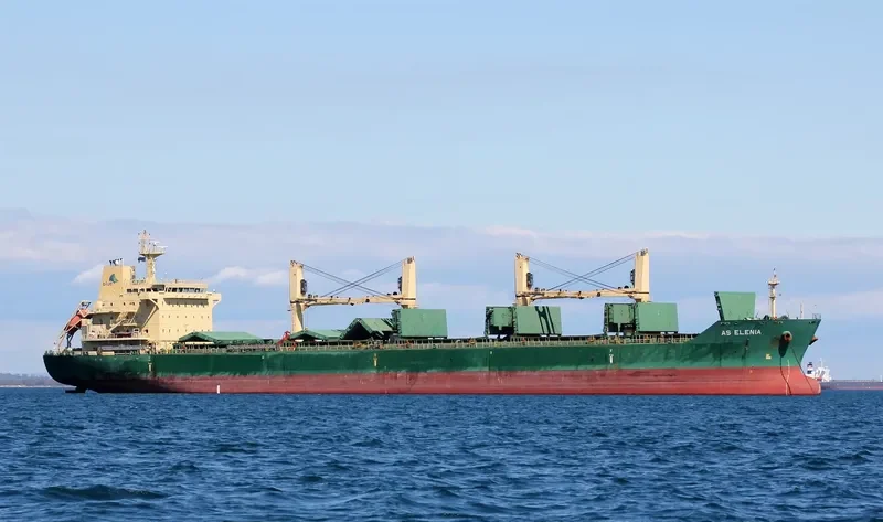 AS ELENIA Bulk Carrier IMO 9485899 photo 2