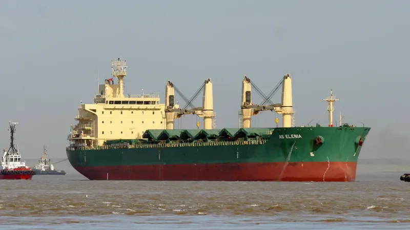 AS ELENIA Bulk Carrier IMO 9485899 photo 7