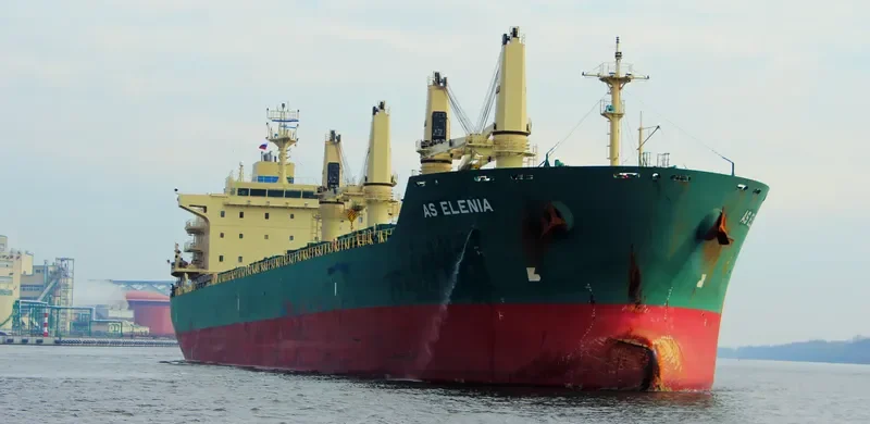 AS ELENIA Bulk Carrier IMO 9485899 photo 9