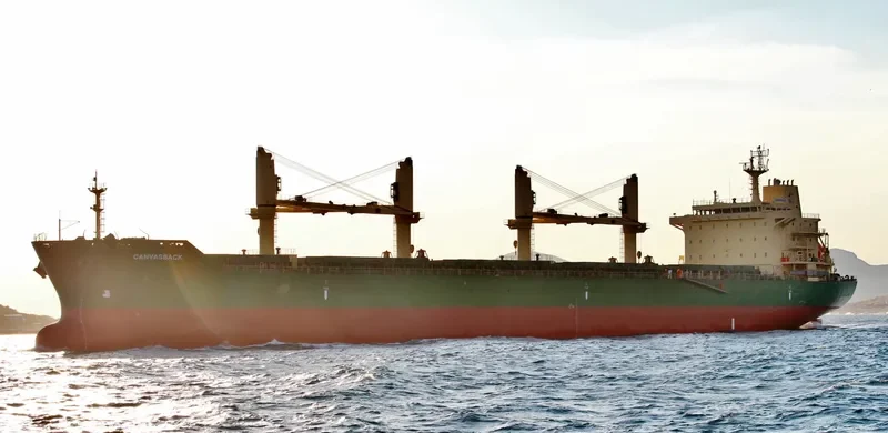 JUN DE Bulk Carrier IMO 9485904