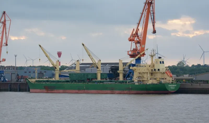JUN DE Bulk Carrier IMO 9485904 photo 4