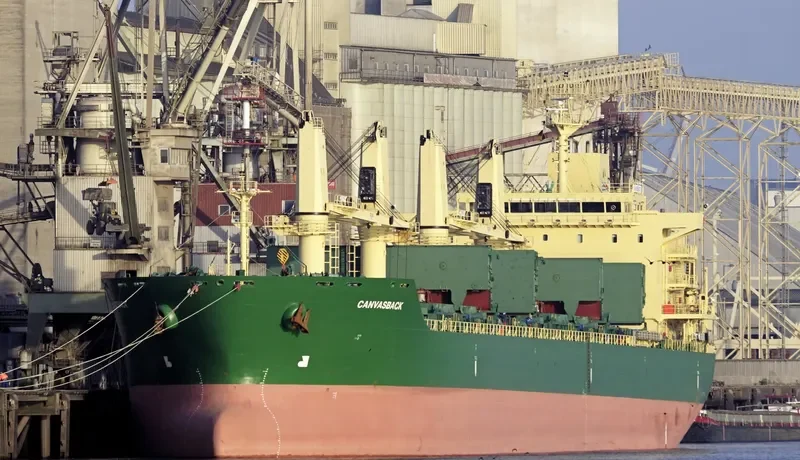JUN DE Bulk Carrier IMO 9485904 photo 9