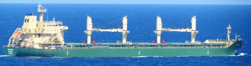 SHELDUCK Bulk Carrier IMO 9485930 photo 4