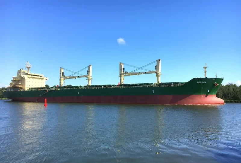 SHELDUCK Bulk Carrier IMO 9485930 photo 5