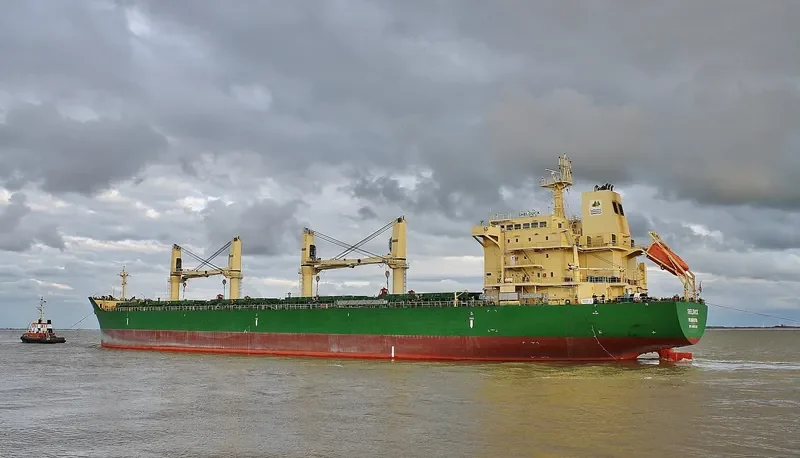SHELDUCK Bulk Carrier IMO 9485930 photo 9