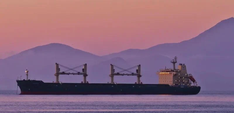 SHELDUCK Bulk Carrier IMO 9485930 photo 10