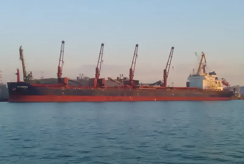 ZOGRAFIA Bulk Carrier IMO 9486013