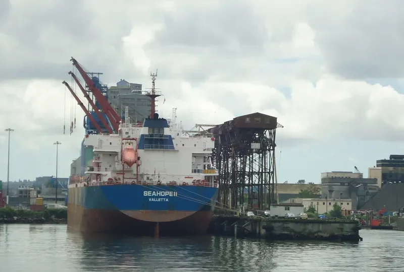 ZOGRAFIA Bulk Carrier IMO 9486013 photo 5