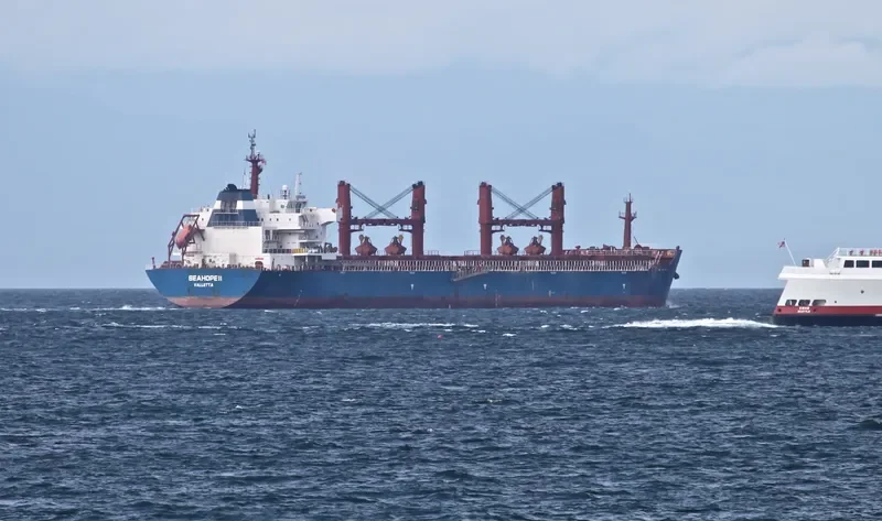 ZOGRAFIA Bulk Carrier IMO 9486013 photo 6