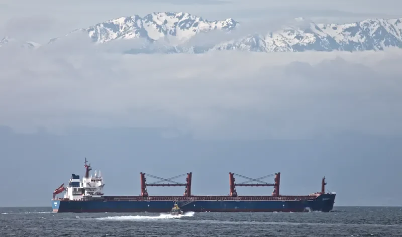 ZOGRAFIA Bulk Carrier IMO 9486013 photo 8