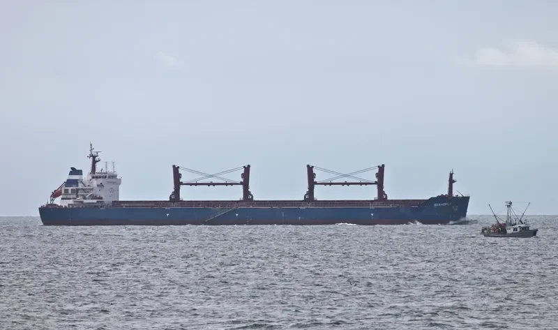 ZOGRAFIA Bulk Carrier IMO 9486013 photo 10