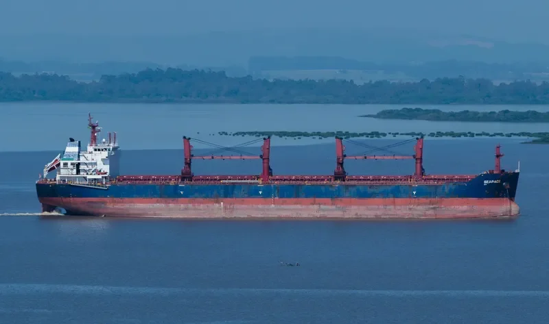 MELPOMENI Bulk Carrier IMO 9486025