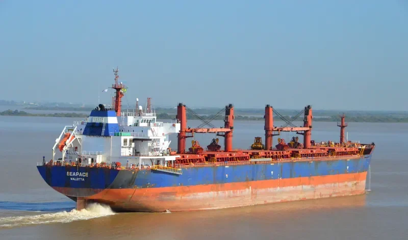 MELPOMENI Bulk Carrier IMO 9486025 photo 3