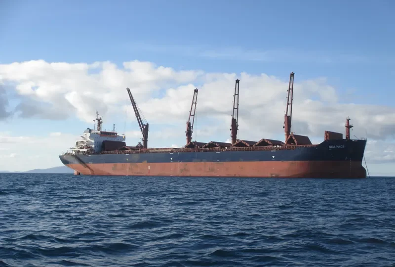 MELPOMENI Bulk Carrier IMO 9486025 photo 16