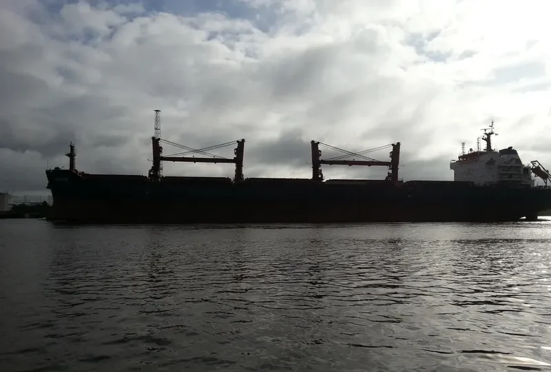 MELPOMENI Bulk Carrier IMO 9486025 photo 18
