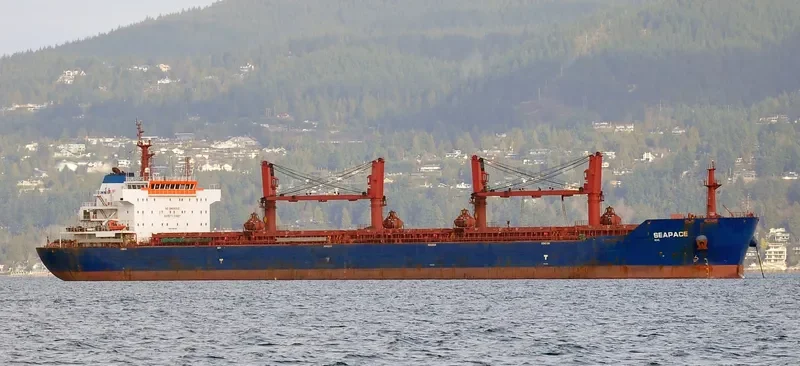 MELPOMENI Bulk Carrier IMO 9486025 photo 23