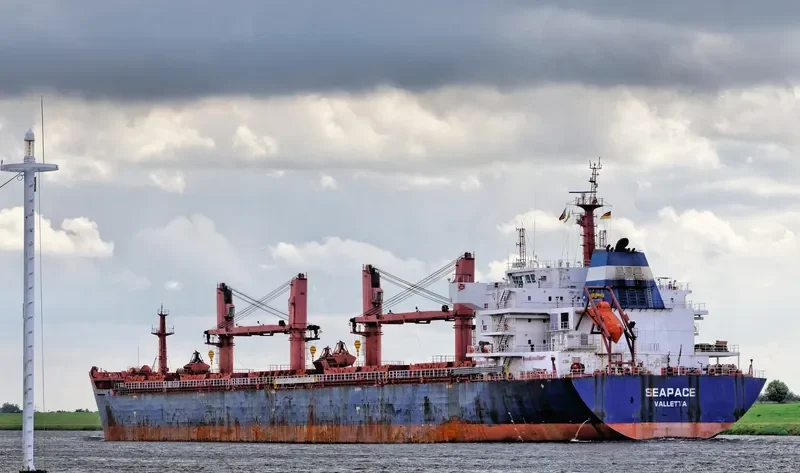 MELPOMENI Bulk Carrier IMO 9486025 photo 30