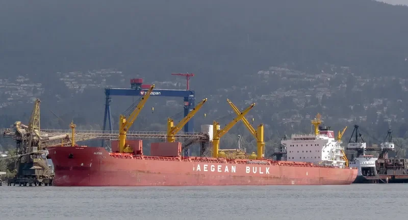 ALFIOS Bulk Carrier IMO 9486130 photo 9