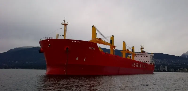 ARKAS Bulk Carrier IMO 9486142 photo 3