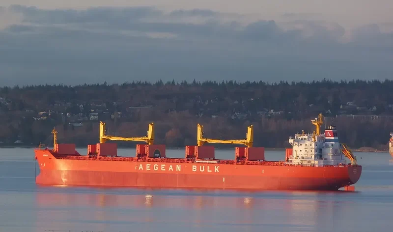 ARKAS Bulk Carrier IMO 9486142 photo 5