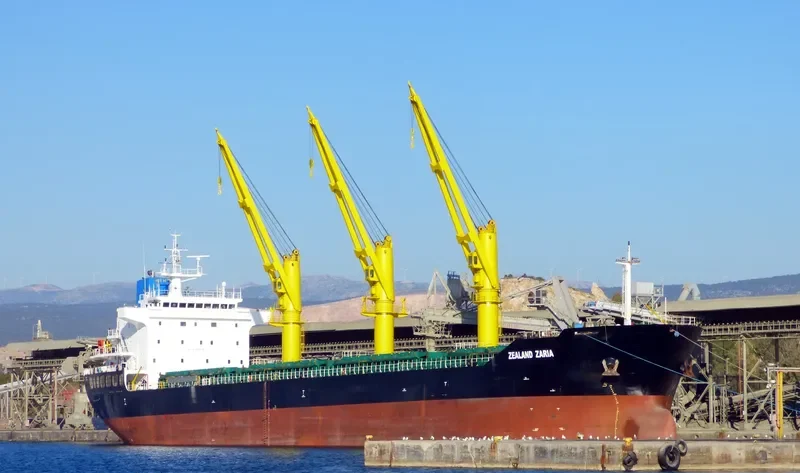 ZEALAND ZARIA Bulk Carrier IMO 9486269 photo 3