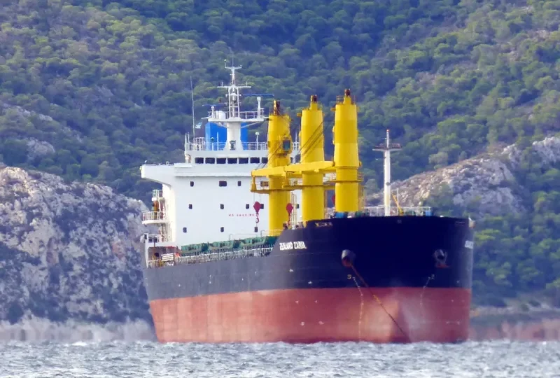 ZEALAND ZARIA Bulk Carrier IMO 9486269 photo 5
