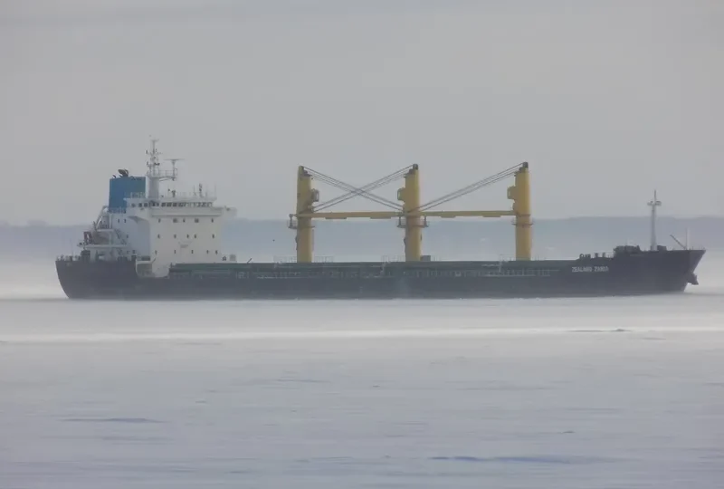 ZEALAND ZARIA Bulk Carrier IMO 9486269 photo 7