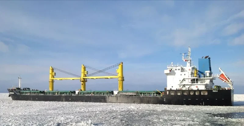 ZEALAND ZARIA Bulk Carrier IMO 9486269 photo 8