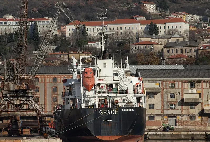GRACE Bulk Carrier IMO 9486300 photo 6