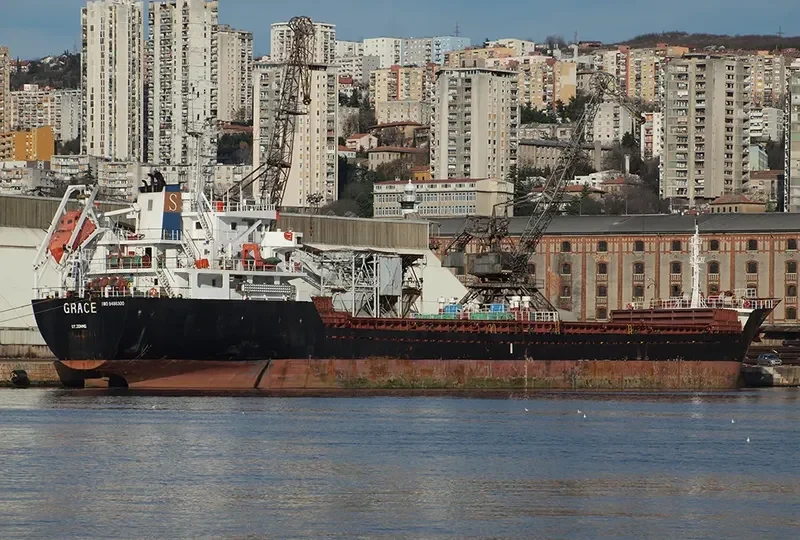GRACE Bulk Carrier IMO 9486300 photo 7