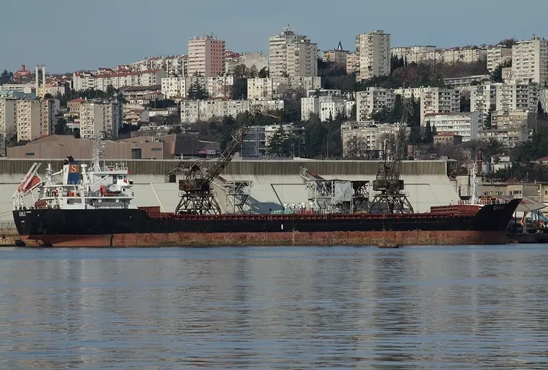 GRACE Bulk Carrier IMO 9486300 photo 8