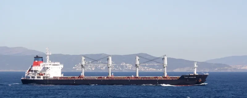 SAINT VASSILIOS Bulk Carrier IMO 9486403 photo 4
