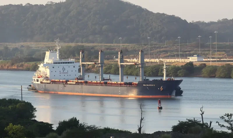SEA DOLPHIN C Bulk Carrier IMO 9486427