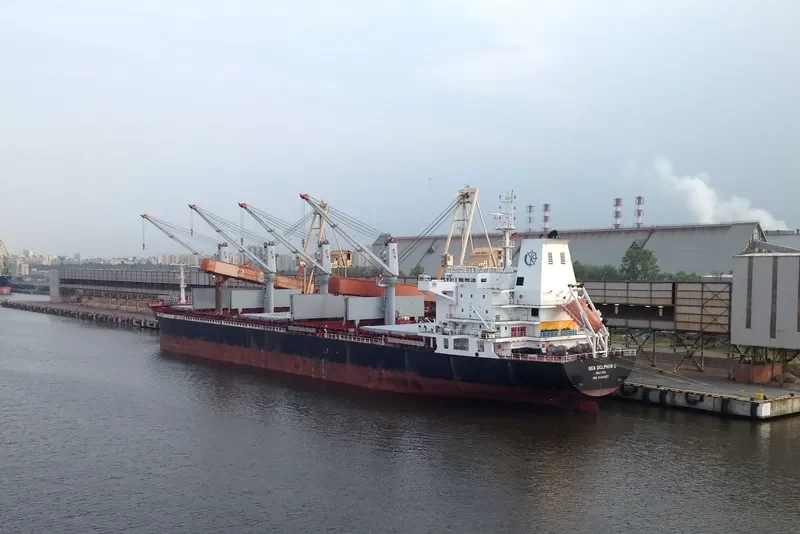 SEA DOLPHIN C Bulk Carrier IMO 9486427 photo 2
